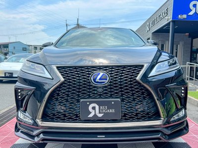 2020 Lexus RX — миниатюра 13