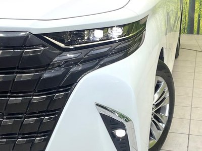 2025 TOYOTA ALPHARD — миниатюра 13