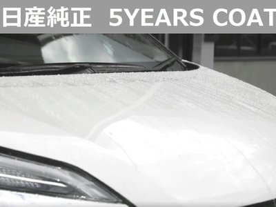 2021 NISSAN SKYLINE thumbnail 28