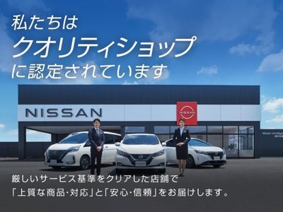 2021 NISSAN SKYLINE thumbnail 17