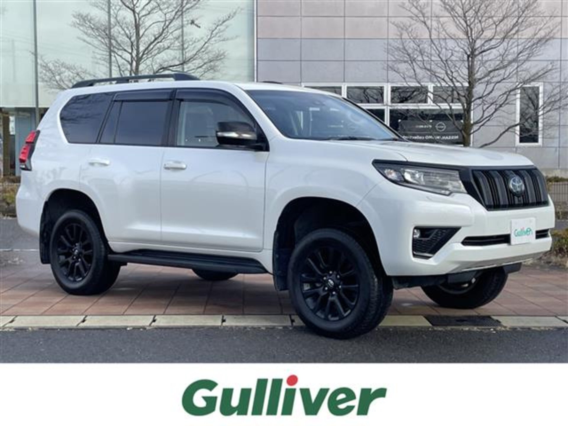 TOYOTA LAND CRUISER PRADO - View 1