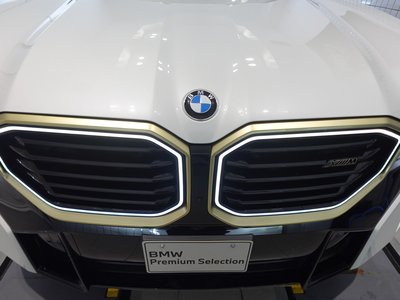 2025 BMW XM 缩略图 17