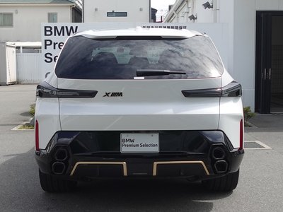 2025 BMW XM 缩略图 12