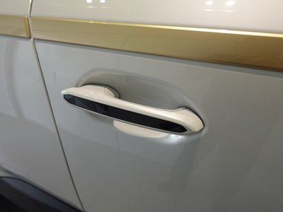 2025 BMW XM 缩略图 37