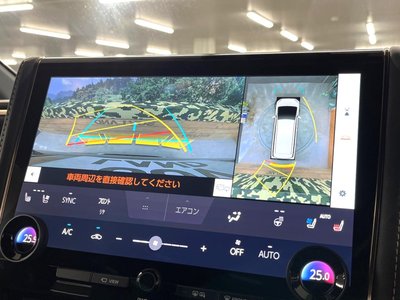 2025 TOYOTA ALPHARD photo 4