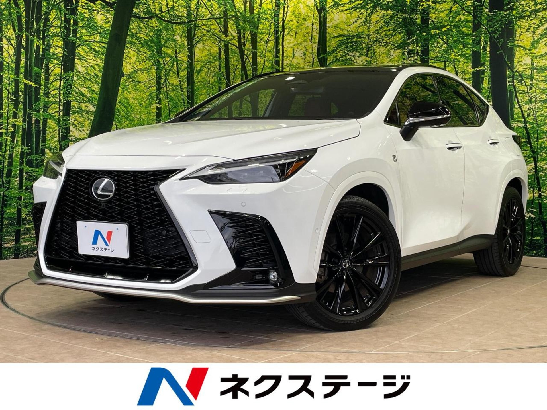 LEXUS NX - View 1