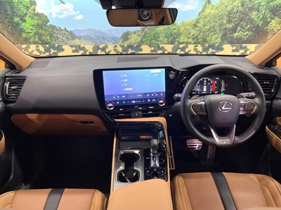 LEXUS NX - 2
