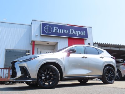 LEXUS NX - 10
