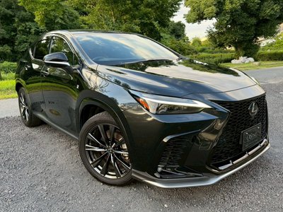2023 Lexus NX — миниатюра 14
