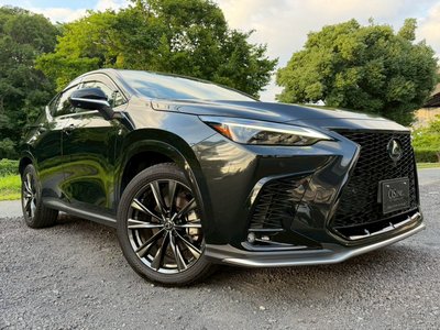 2023 Lexus NX — миниатюра 15