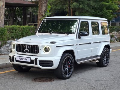 MERCEDES-BENZ G-CLASS - 1