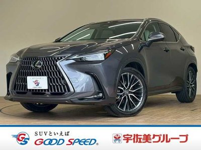 LEXUS NX - 1