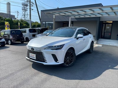 2023 Lexus RX thumbnail 22