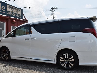 2023 Toyota ALPHARD 缩略图 19