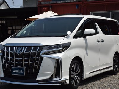2023 Toyota ALPHARD 缩略图 24