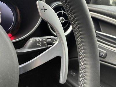 2025 ALFA Romeo STELVIO 照片 9