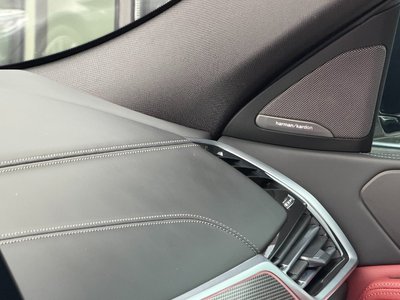 2021 BMW X6 缩略图 17
