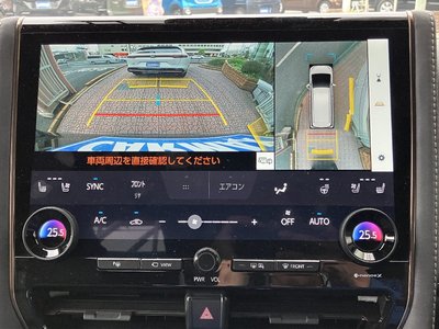 TOYOTA VELLFIRE - 10