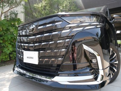 2025 Toyota ALPHARD — миниатюра 13