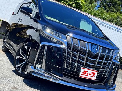 2021 Toyota ALPHARD thumbnail 32