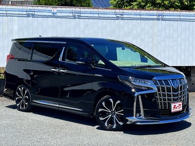 2021 Toyota ALPHARD thumbnail 44