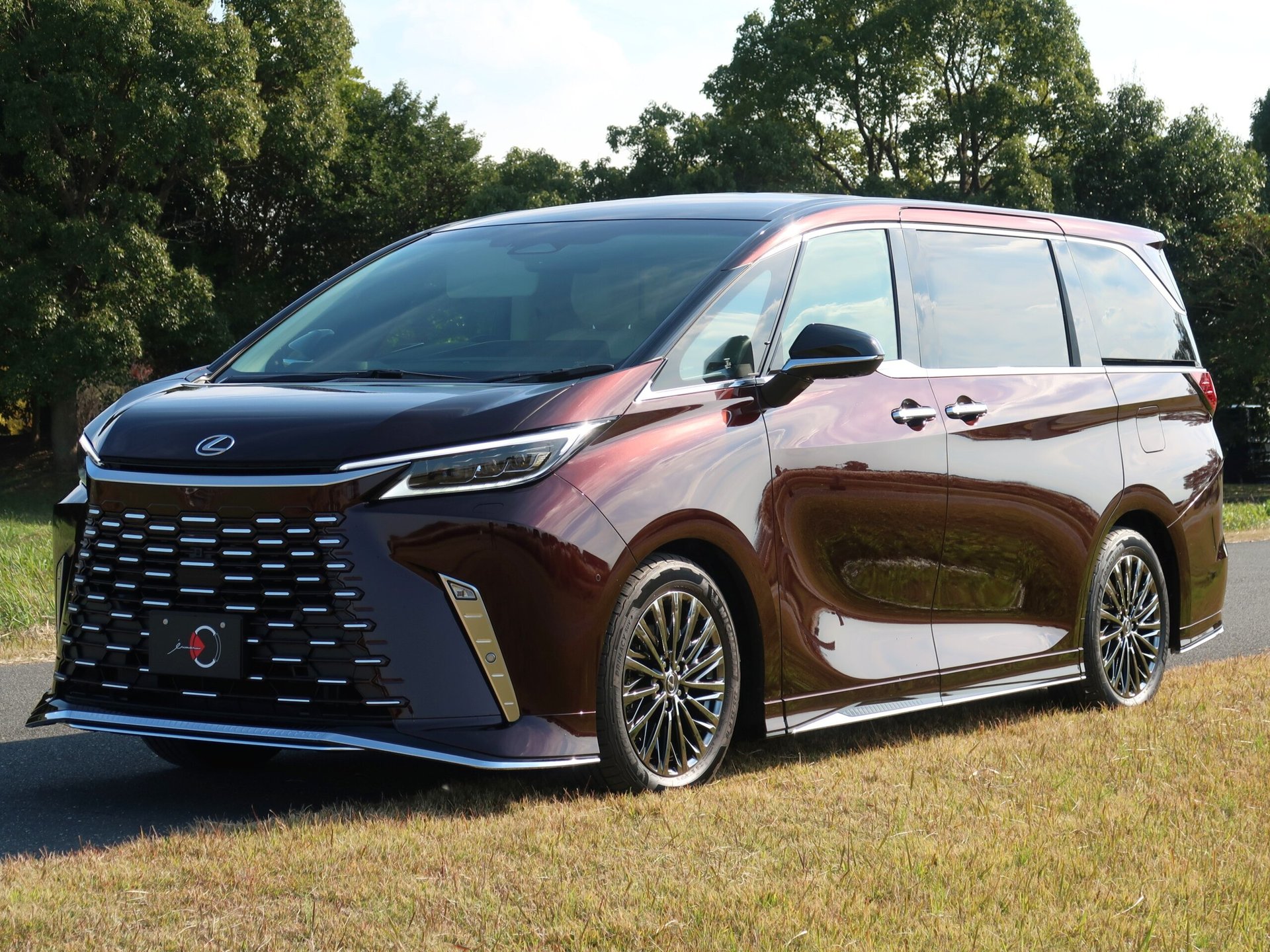 LEXUS LM - View 1