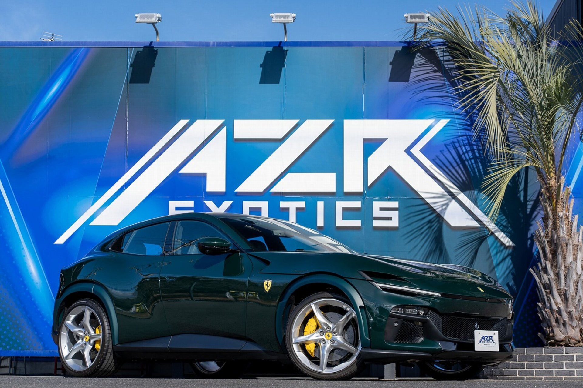 FERRARI PUROSANGUE - View 1