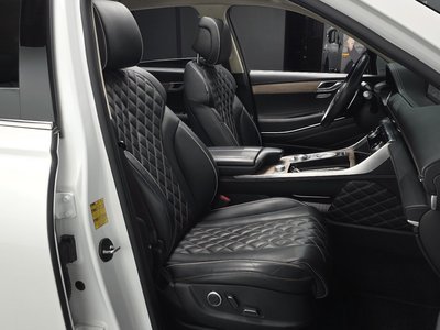GENESIS GV80 - 10