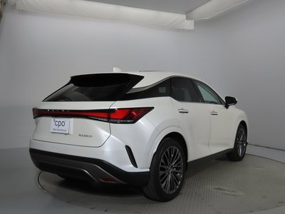 LEXUS RX - 2