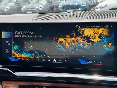 2025 BMW 5 SERIES thumbnail 62