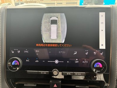 2025 Toyota ALPHARD thumbnail 39