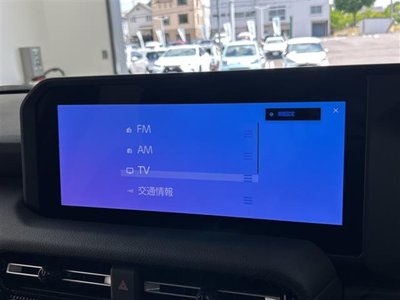 2025 Toyota LAND CRUISER 250 photo 5