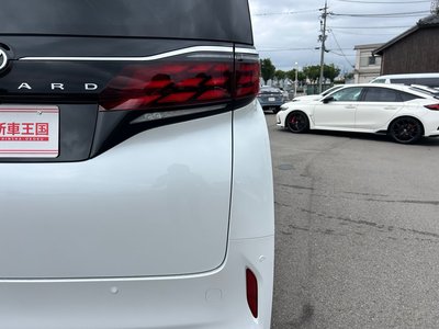 2026 TOYOTA ALPHARD thumbnail 19