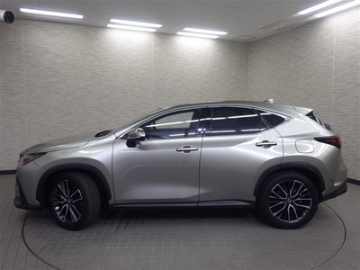 LEXUS NX - 6