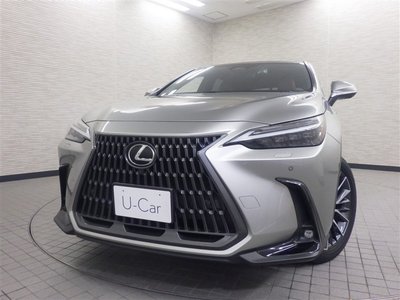 LEXUS NX - 8