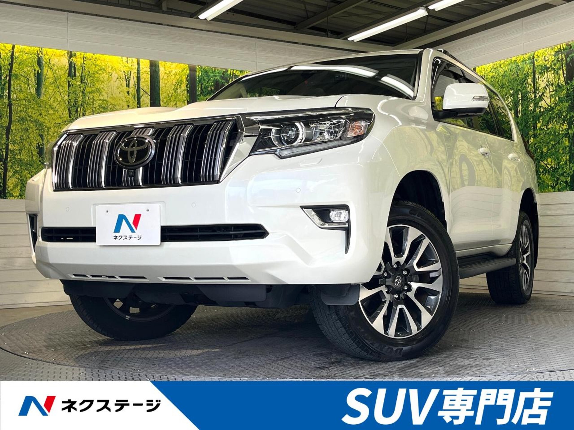 TOYOTA LAND CRUISER PRADO - View 1