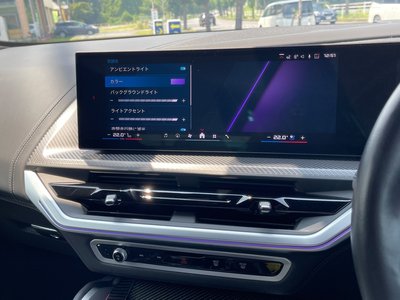 2024 BMW XM 缩略图 39