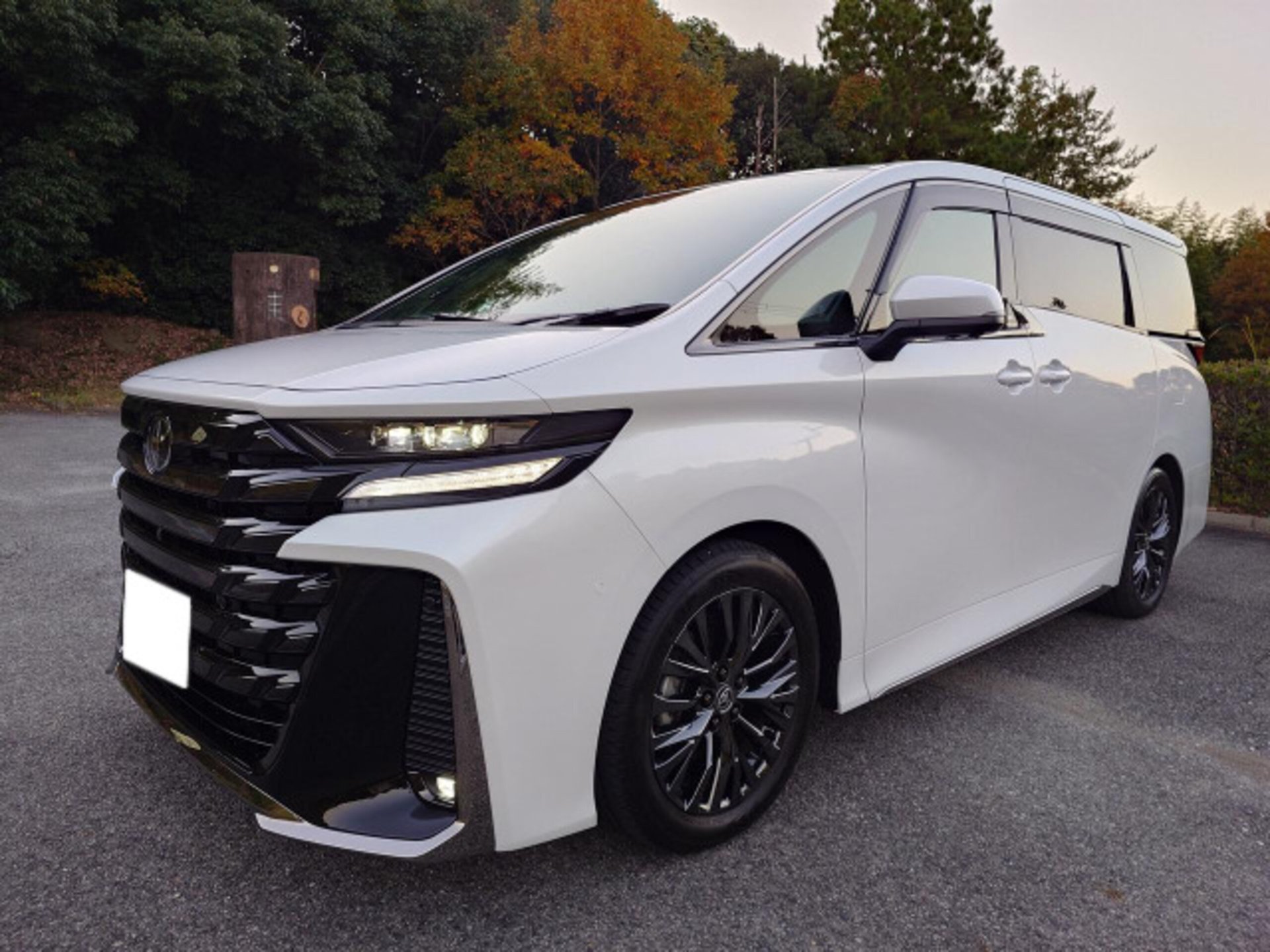 TOYOTA VELLFIRE - View 1