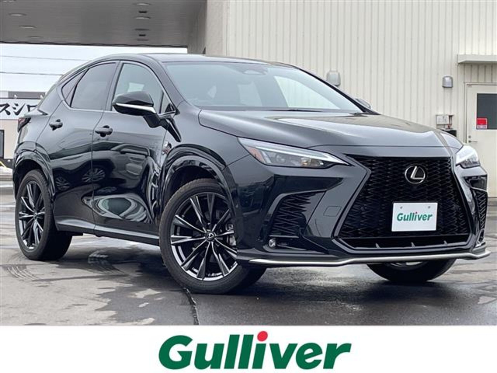 LEXUS NX - View 1