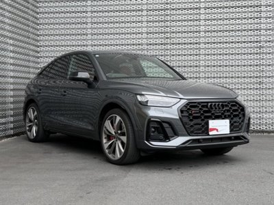 AUDI SQ5 - 6