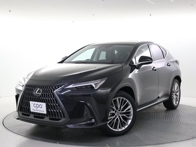 LEXUS NX - 1