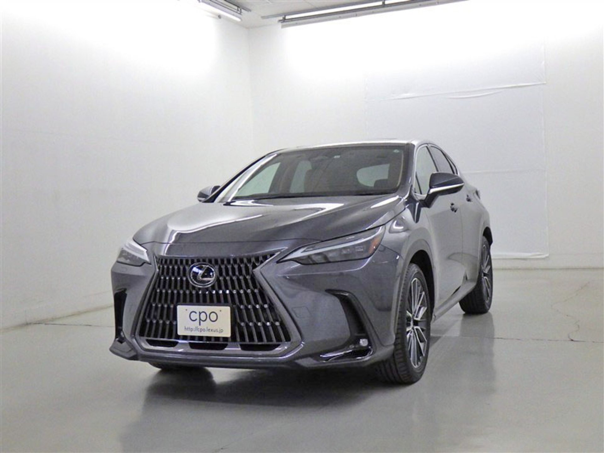 LEXUS NX - View 1