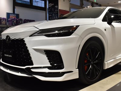 LEXUS RX - 6