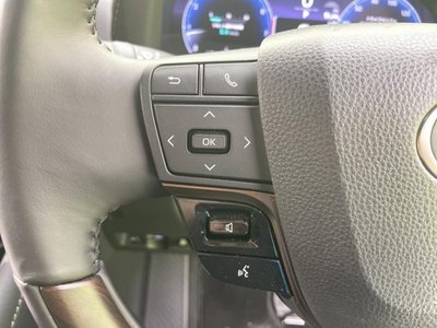2025 TOYOTA ALPHARD thumbnail 21