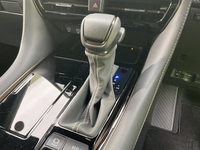 2025 TOYOTA ALPHARD thumbnail 30