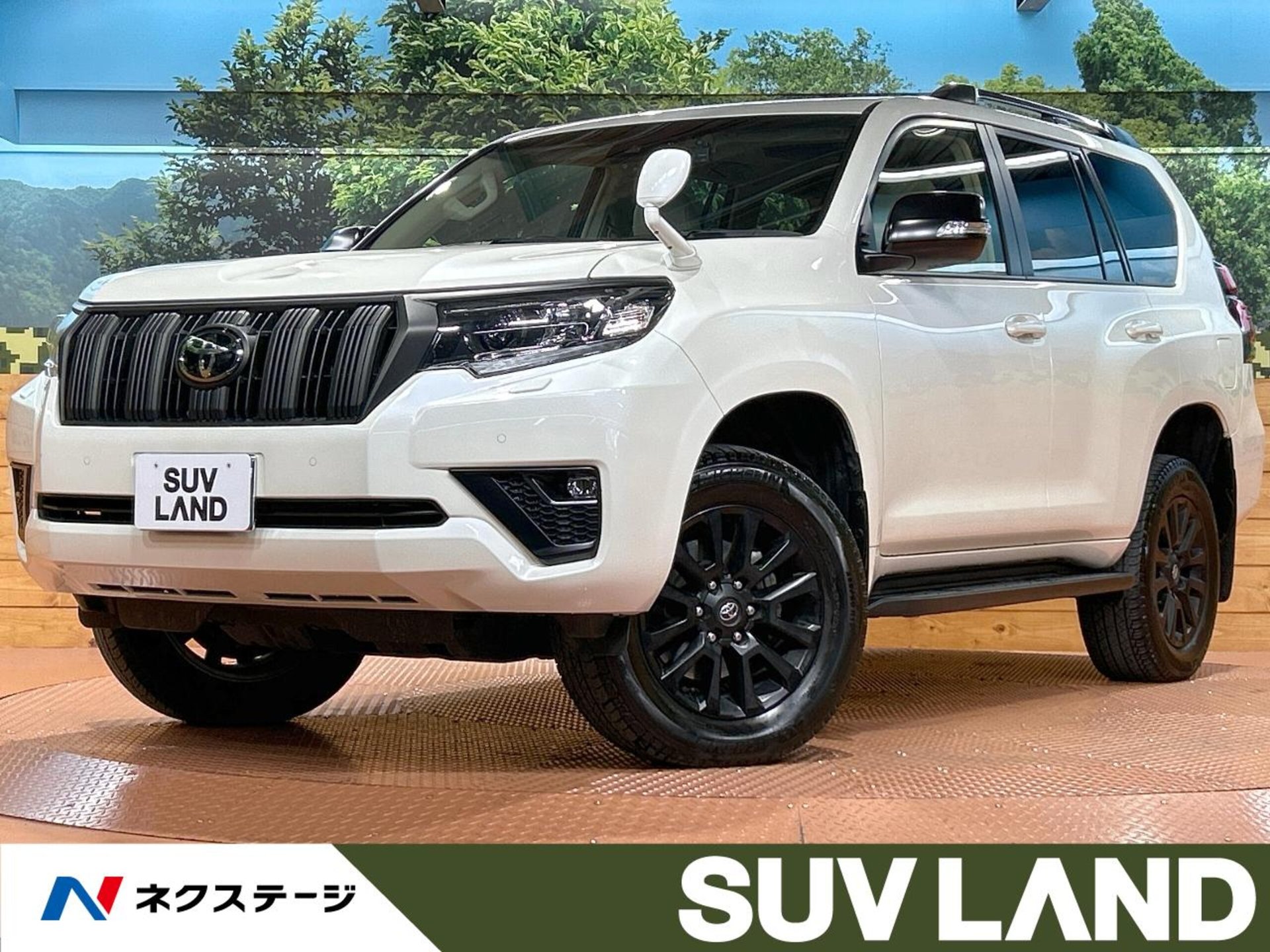 TOYOTA LAND CRUISER PRADO - View 1