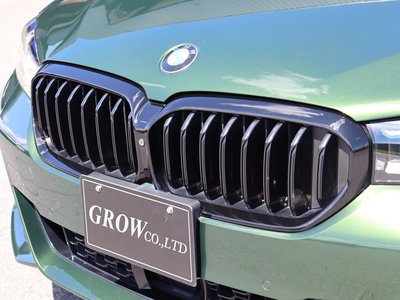 2021 BMW 5 SERIES 缩略图 19