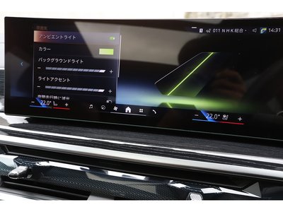 2024 BMW X7 缩略图 52