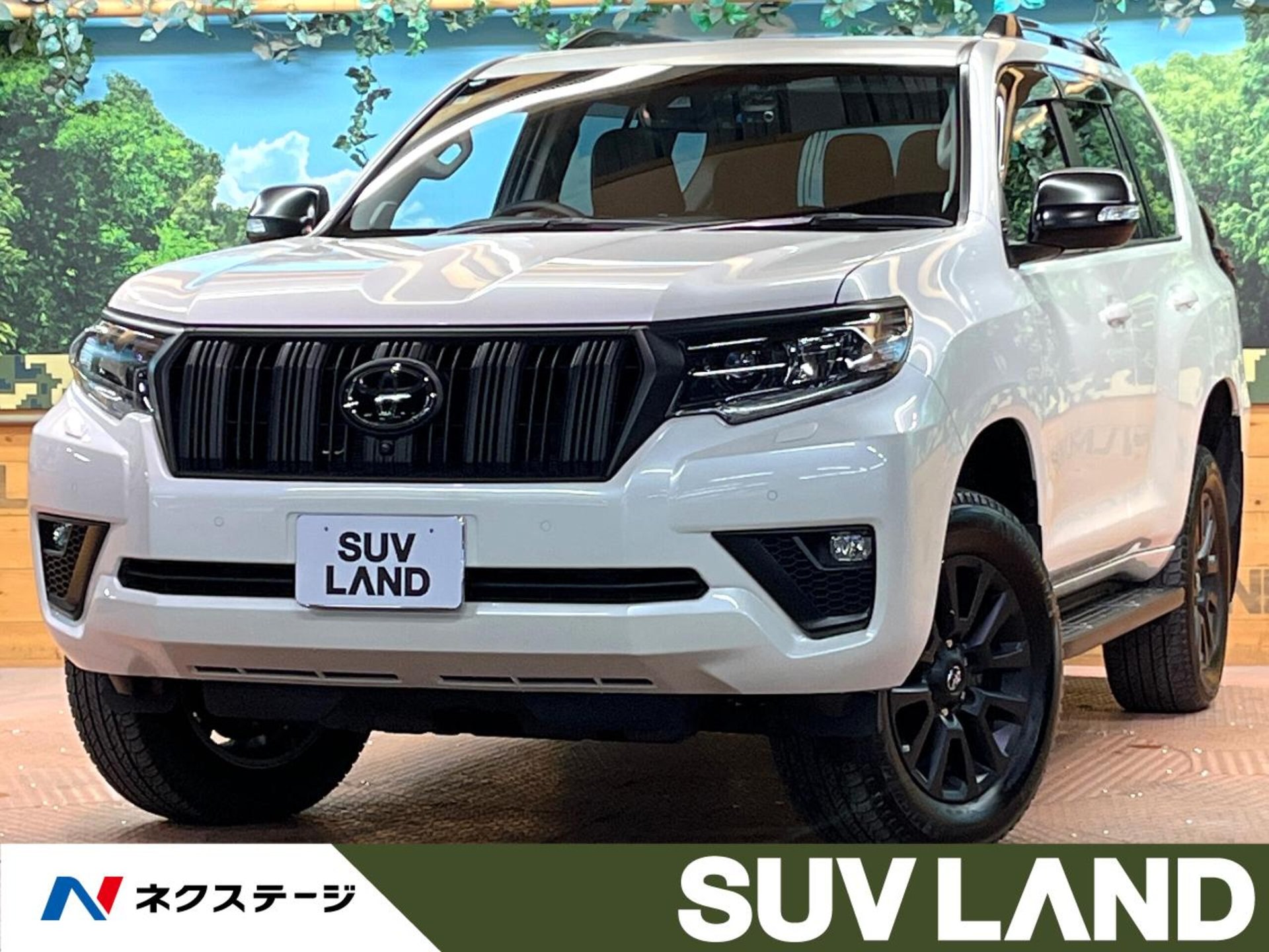 TOYOTA LAND CRUISER PRADO - View 1