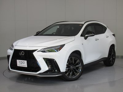 LEXUS NX - 1